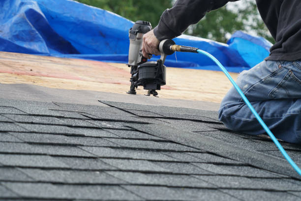 Best Roof Insulation Installation  in Nd Lake, WI